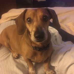 Meet your Posher, Todd